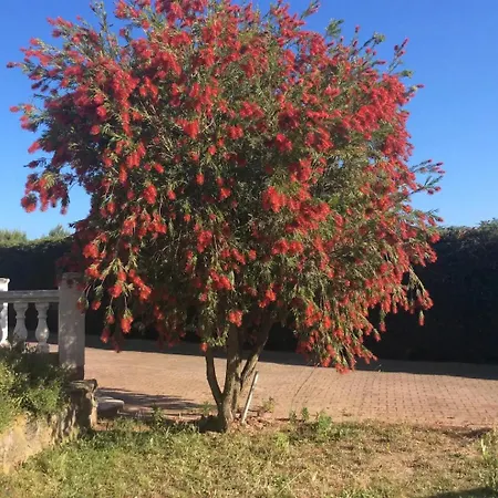 A *