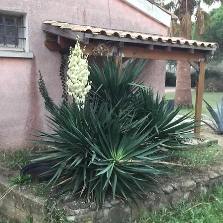A Homestay